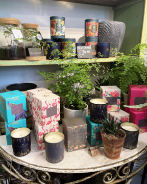 Candle selection at Orchard Place